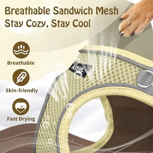 Adjustable harness & leash set for dogs,