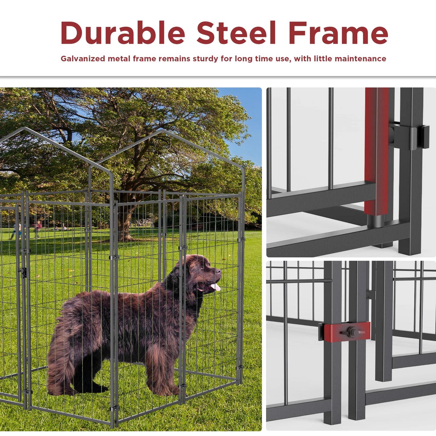 Dog Kennel
