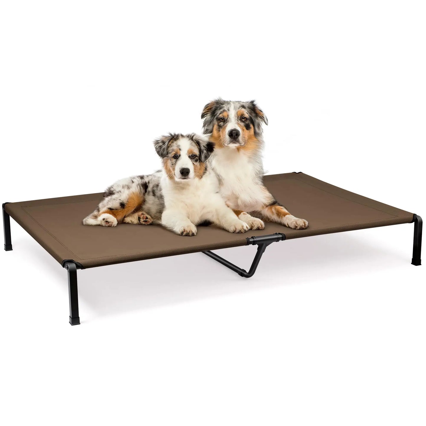 Elevated Dog Bed