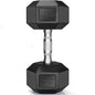 Rubber Hex Dumbbell
