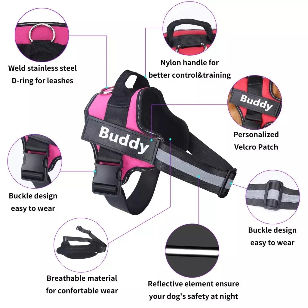 Dog Harness