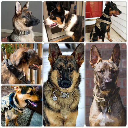 Tactical Dog Collar And Leash Set With Control Handle