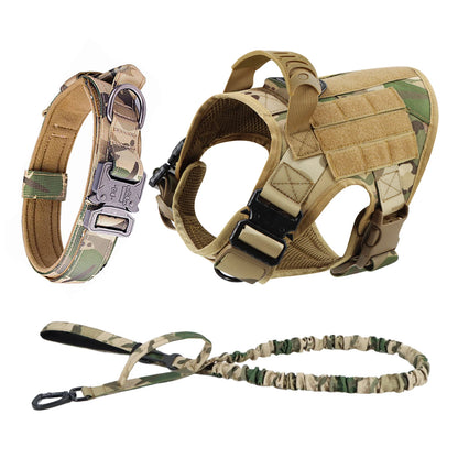 Dog Harness And Leash For Training, & Walking