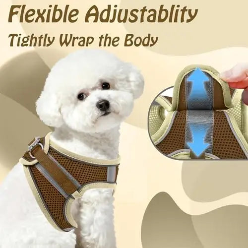 Adjustable harness & leash set for dogs,