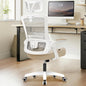 Office Desk Chair High Back Mesh Chair, Adjustable Arms & Lumbar