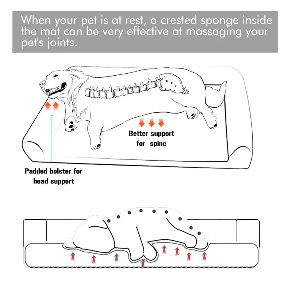Dog Bed with Removable Washable Cover Soft Sponge Foam