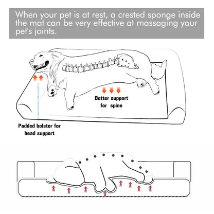 Dog Bed with Removable Washable Cover Soft Sponge Foam