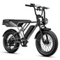 Electric Bike for Adults, Removable Battery