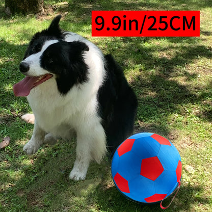 Giant Ball with Ball Cover Explosion Proof