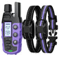Dog Training Collar