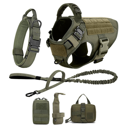 Dog Harness And Leash For Training, & Walking