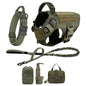 Dog Harness And Leash For Training, & Walking