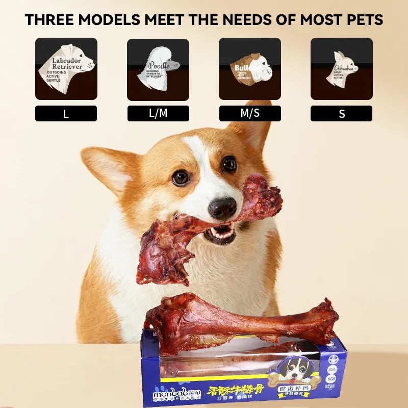 Dog Snacks Beef Bone, Delicious Nutritious Meat Flavor