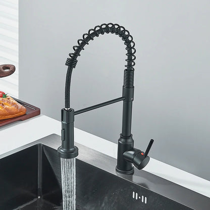 Kitchen Faucet