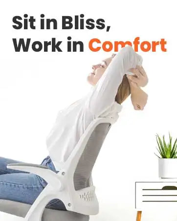 Office Desk Chair High Back Mesh Chair, Adjustable Arms & Lumbar