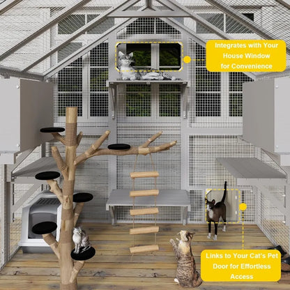 Outdoor Cat Enclosure, Walk in Cat House