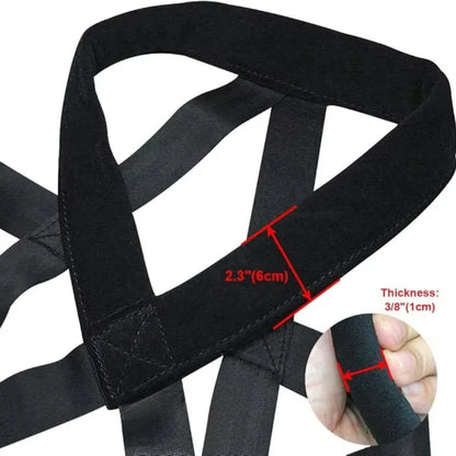Dog Pull Training Leash Sled