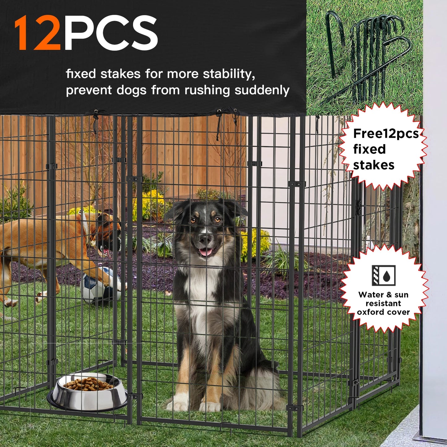 Dog Kennel