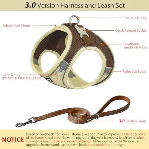 Adjustable harness & leash set for dogs,