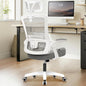 Office Desk Chair High Back Mesh Chair, Adjustable Arms & Lumbar