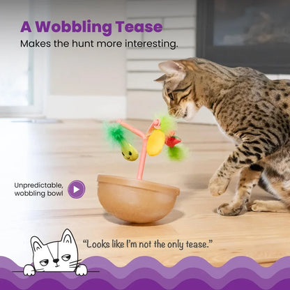 Cat Toy Fruit Bowl with 5 Interactive Toys & Jingle Ball