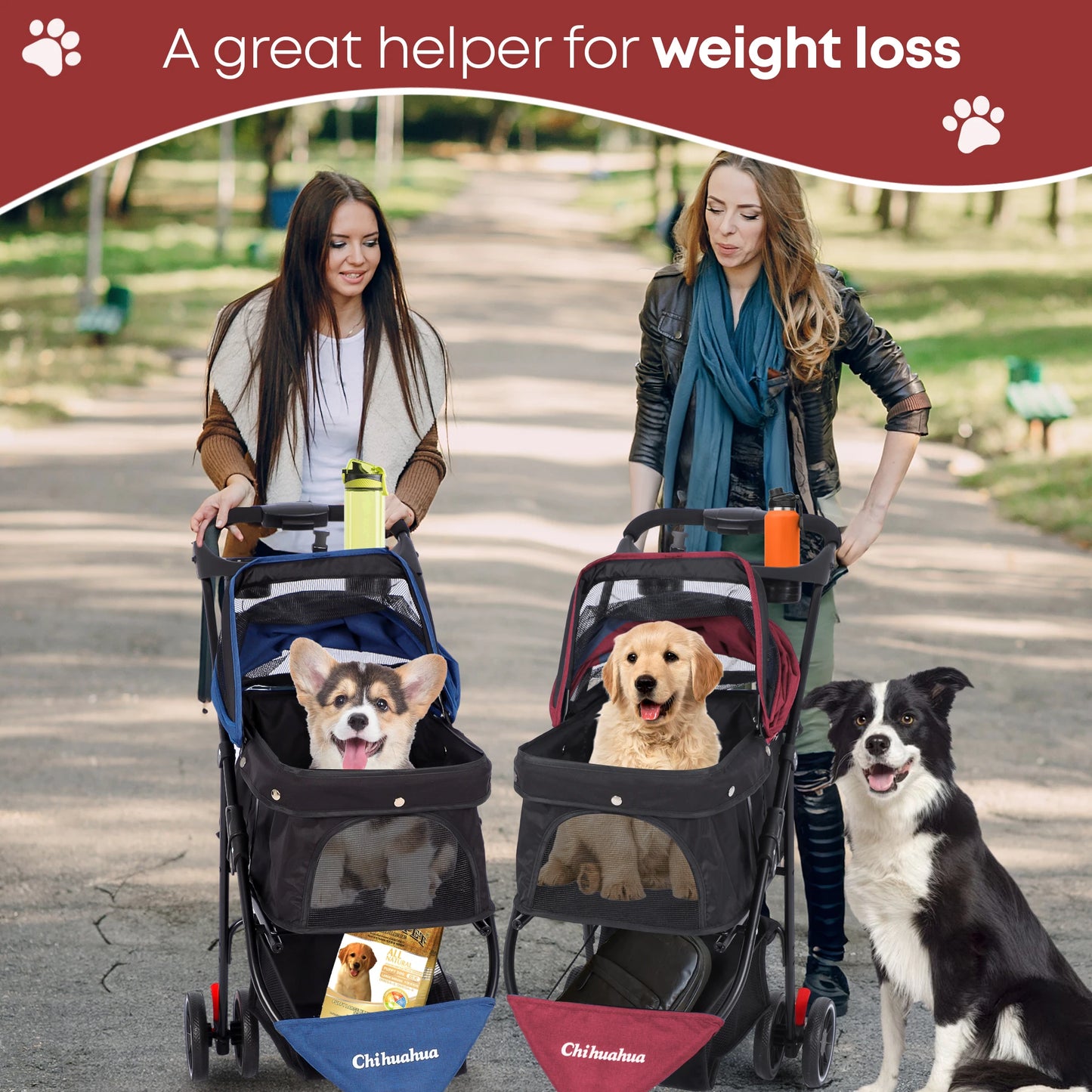 Pet Stroller, Foldable with Breathable Mesh Canopy