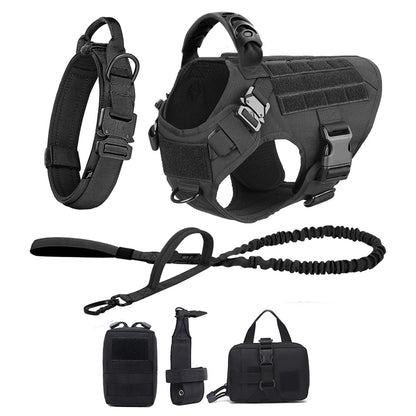 Dog Harness And Leash For Training, & Walking