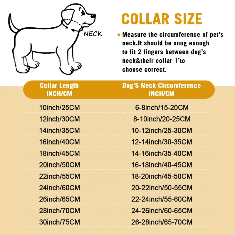 Stainless Chain Collar for Walking & Training