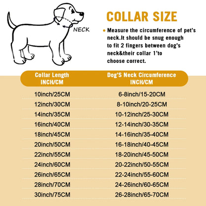 Stainless Chain Collar for Walking & Training