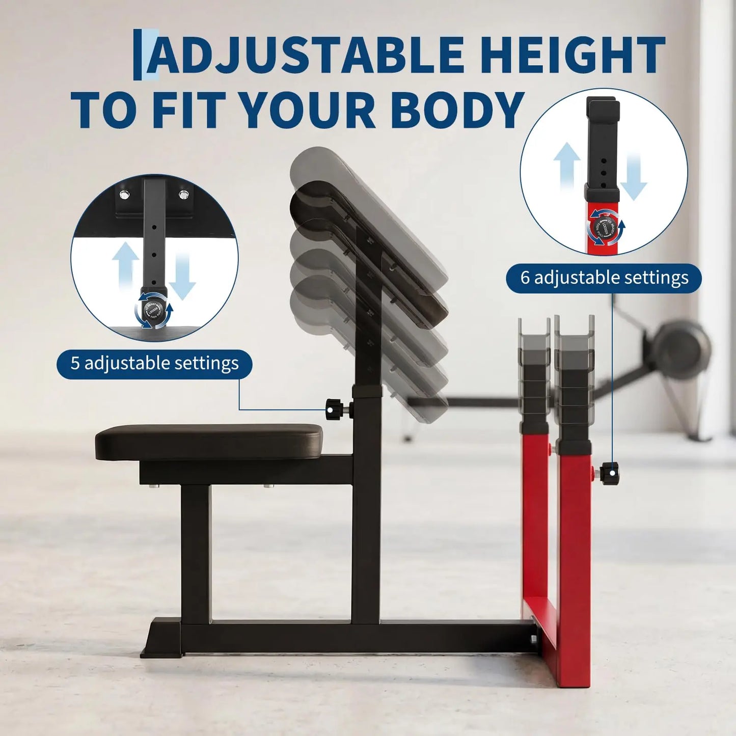 Preacher Curl Weight Bench