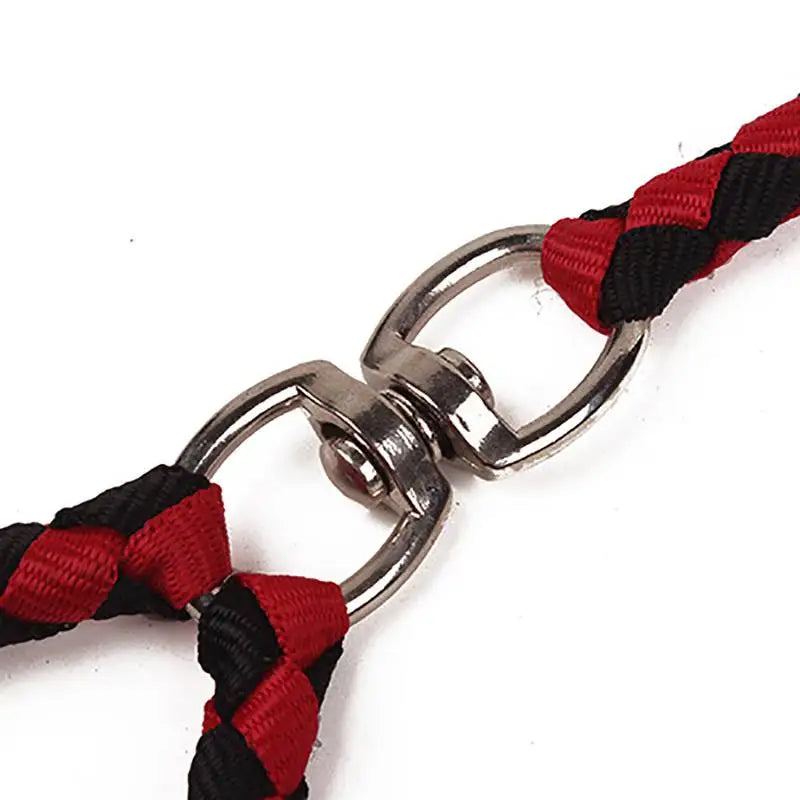 Dog Leash