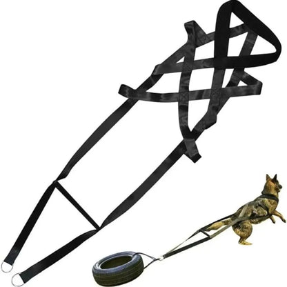 Dog Pull Training Leash Sled