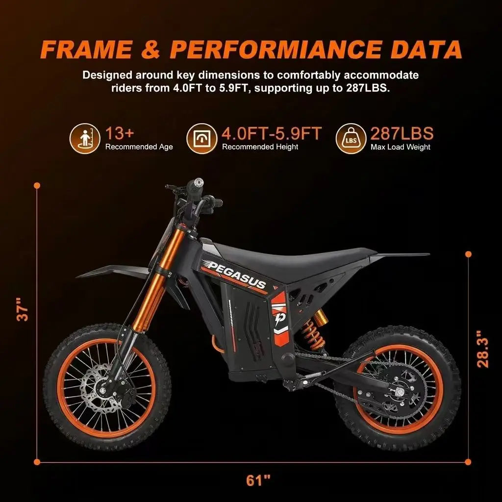 E Motorcycle Dirt Bike Fat Tire Off-road