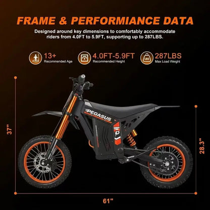 E Motorcycle Dirt Bike Fat Tire Off-road