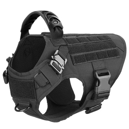Dog Harness And Leash For Training, & Walking