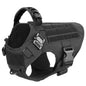 Dog Harness And Leash For Training, & Walking