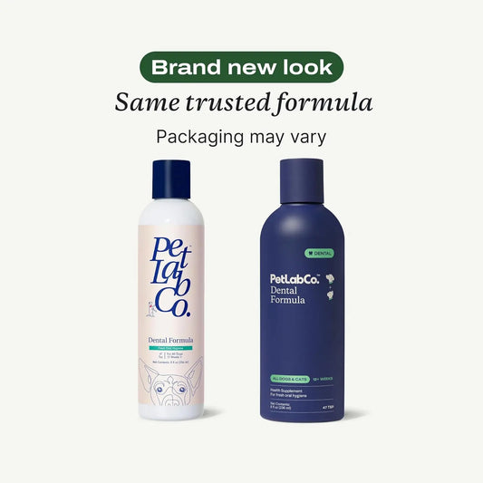 Cat & Dog Dental Water Additive