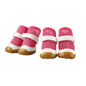 Dog Boots