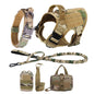 Dog Harness And Leash For Training, & Walking