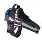 Dog Harness