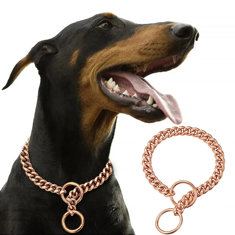 Stainless Chain Collar for Walking & Training
