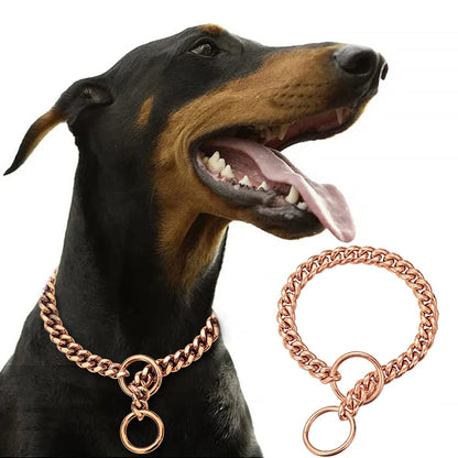 Stainless Chain Collar for Walking & Training