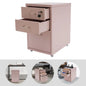 Steel File Cabinet