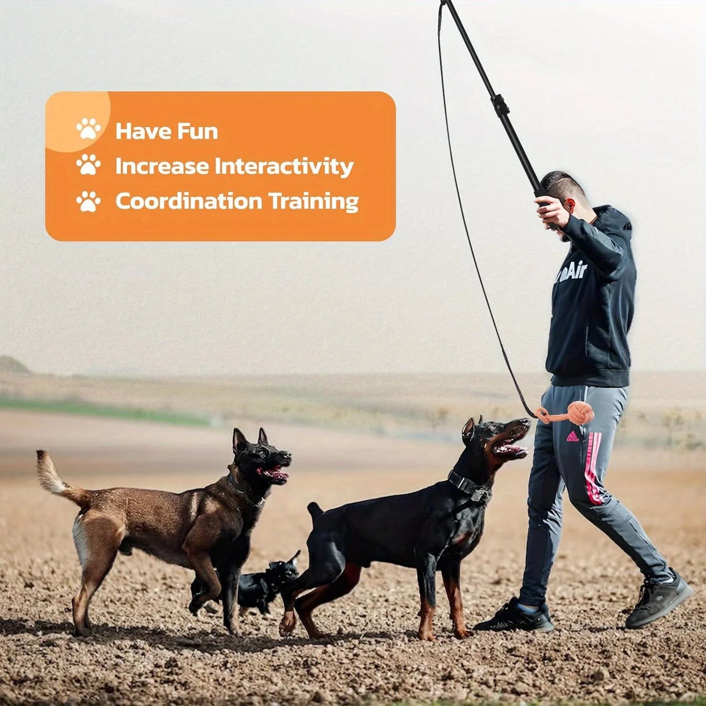 Flirt Pole For Dogs Chase And Tug Of War