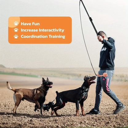 Flirt Pole For Dogs Chase And Tug Of War