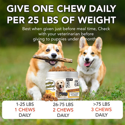Flea and Tick Prevention for Dogs, Dog Chews