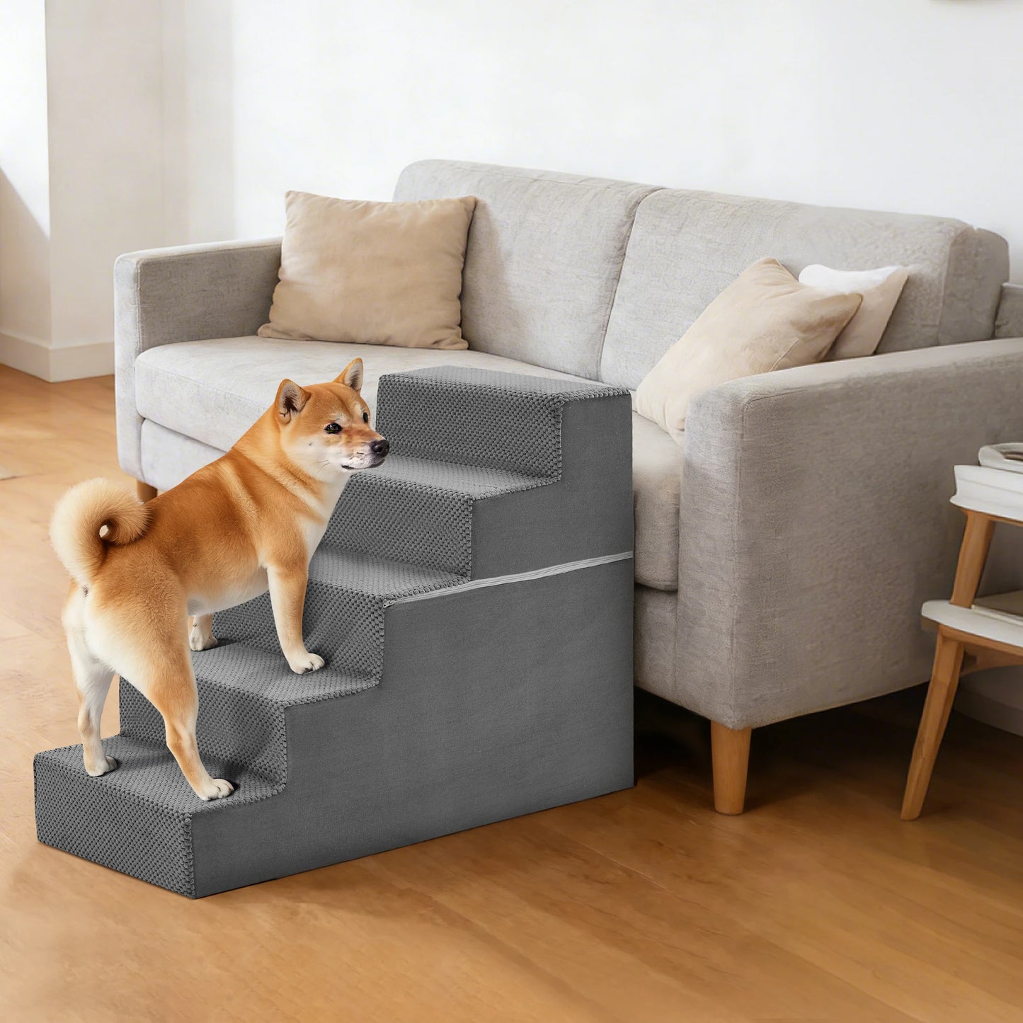 Dog Stairs