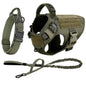 Dog Harness And Leash For Training, & Walking