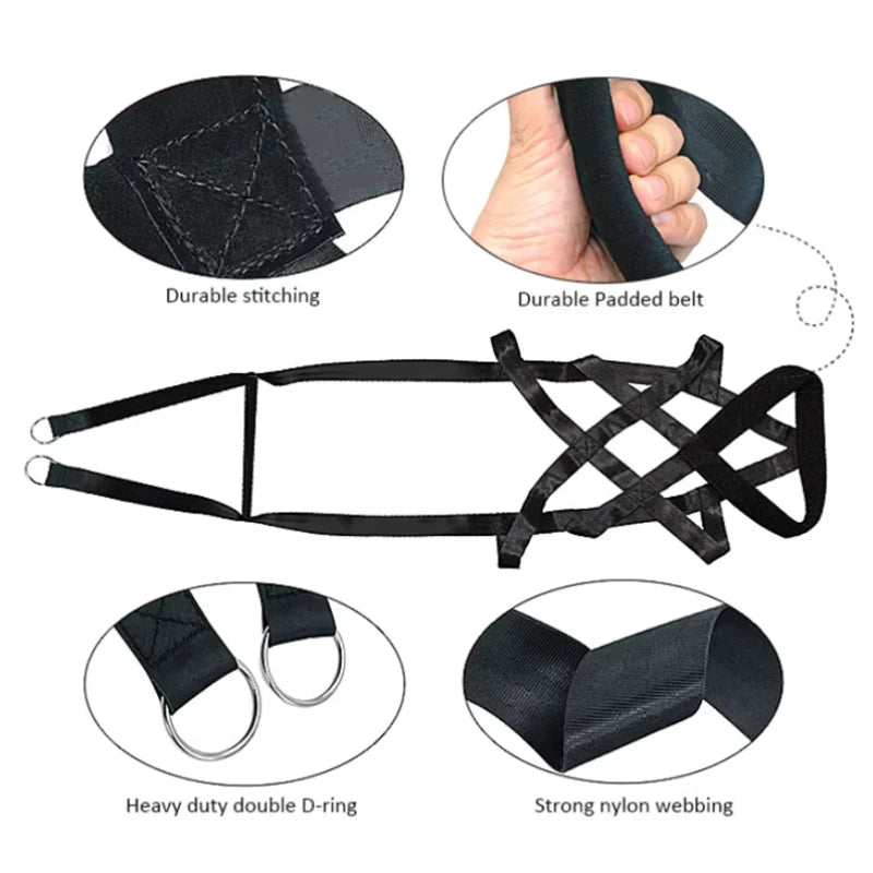 Dog Pull Training Leash Sled