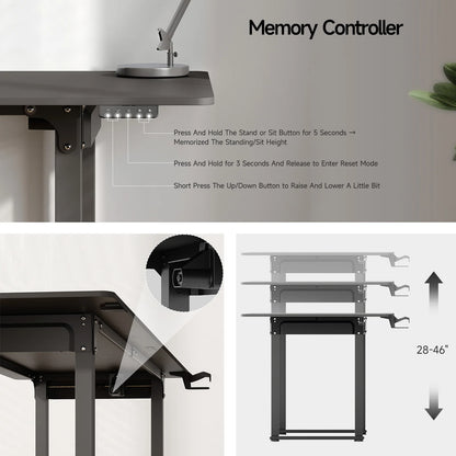 Electric Lifting Desk Stand Up Desk